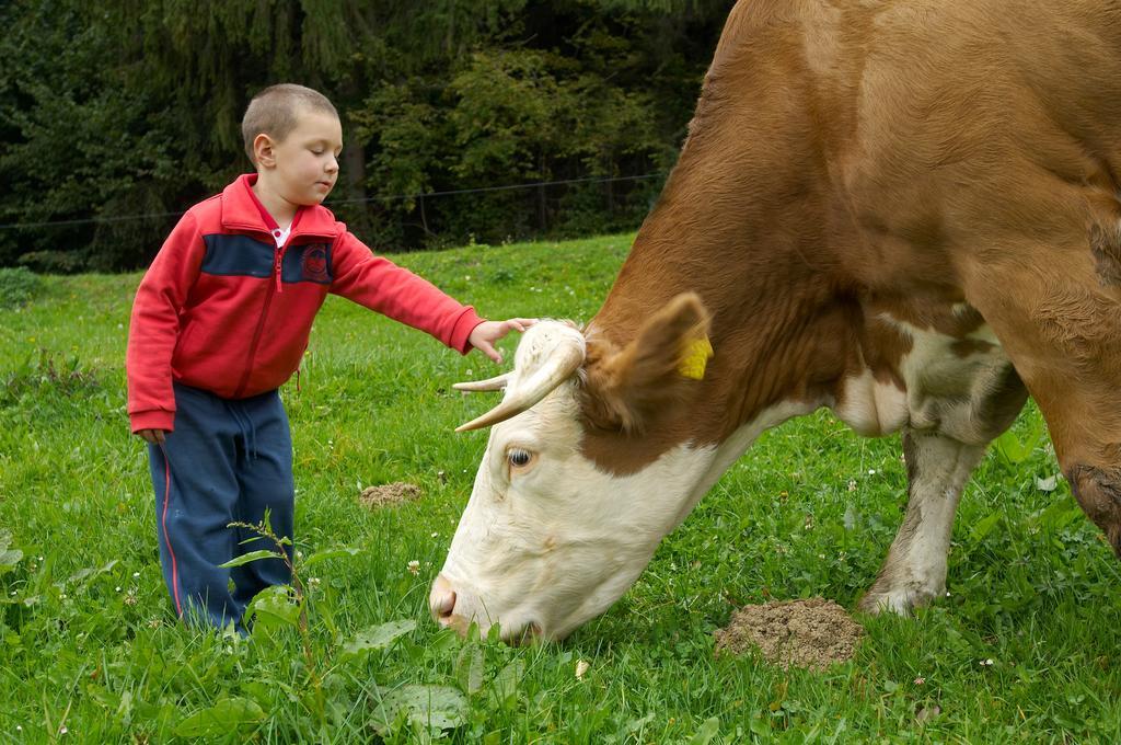 Tourist Farm Stern Pri Kovacniku Fram Ngoại thất bức ảnh